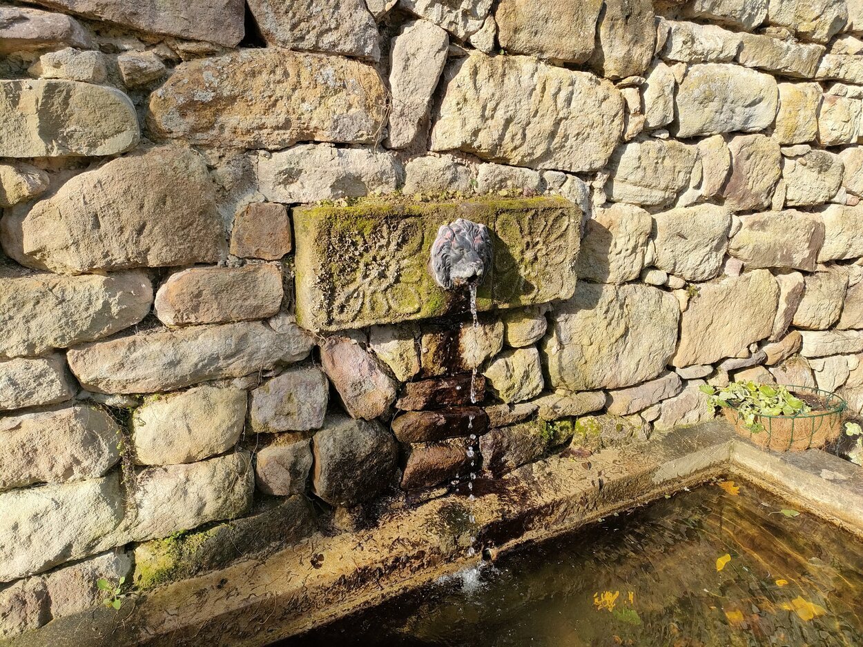 Fuente del Palacio de la Helguera | Foto: Guillermo Álvarez