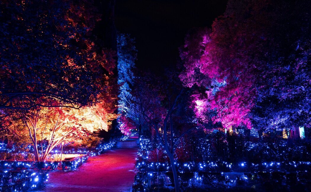 Explorium, el regreso de la Naturaleza Encendida del Jardín Botánico de Madrid