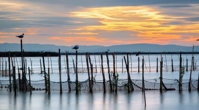 La Albufera de Valencia, un humedal único en España