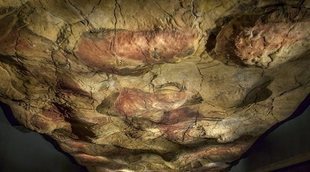 Visita las Cuevas de Altamira: un lugar lleno de historia en el corazón de Cantabria