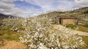 ¿Cuándo es la mejor época para visitar el valle del Jerte?