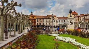 Qué ver en Alcalá de Henares